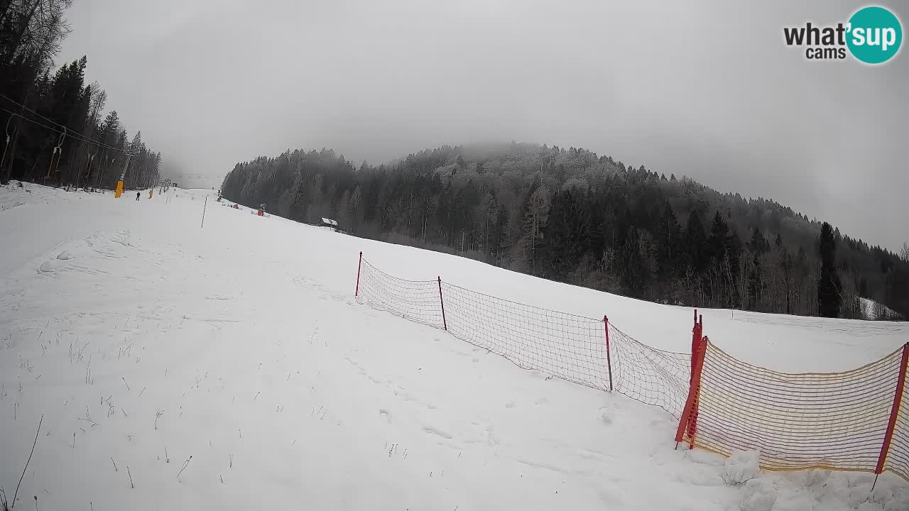 RTC Kranjska Gora | Brsnina