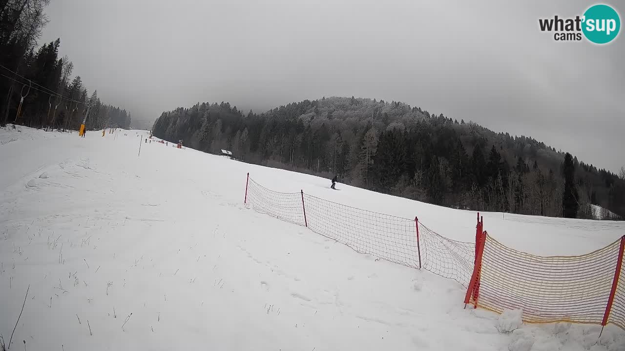 Esquí Kranjska Gora | Brsnina