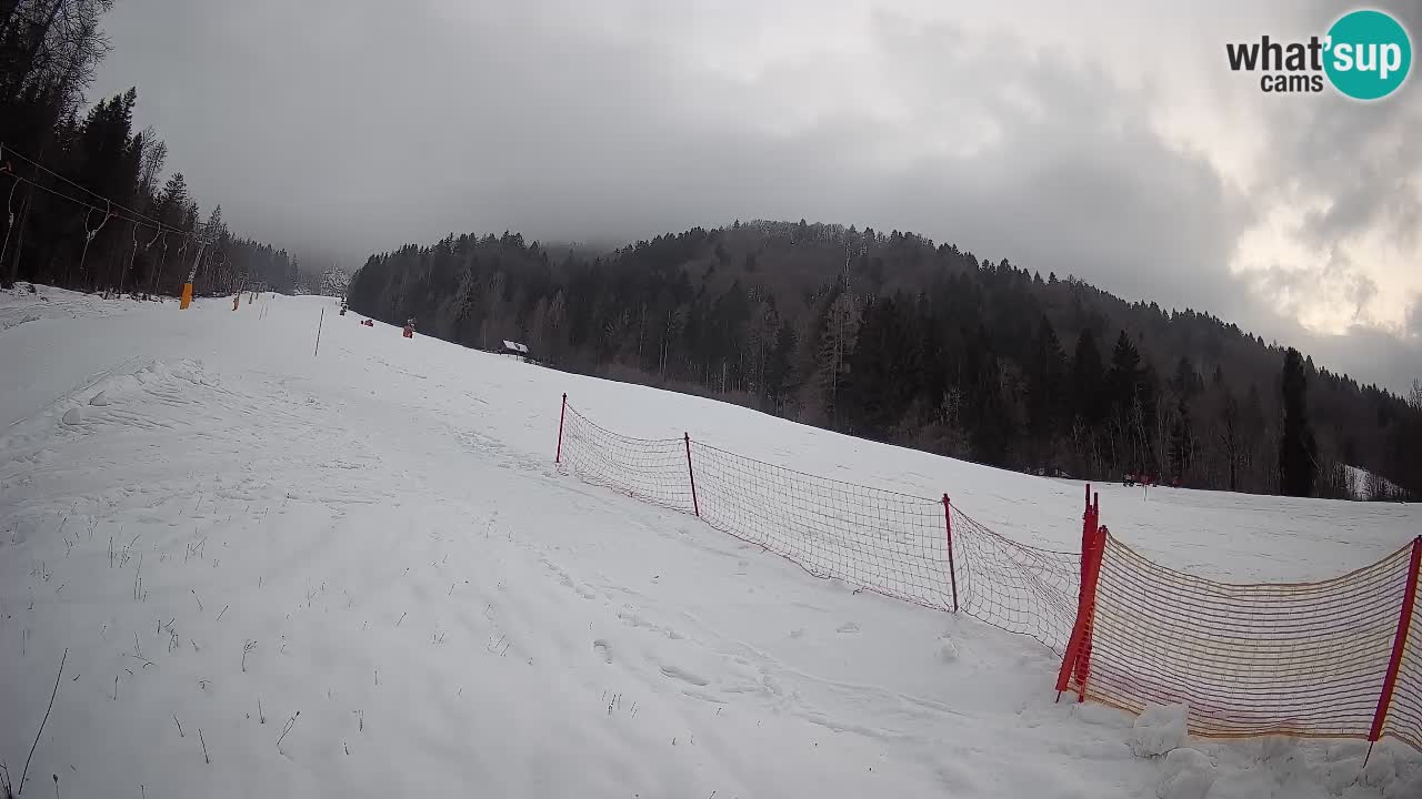 Esquí Kranjska Gora | Brsnina