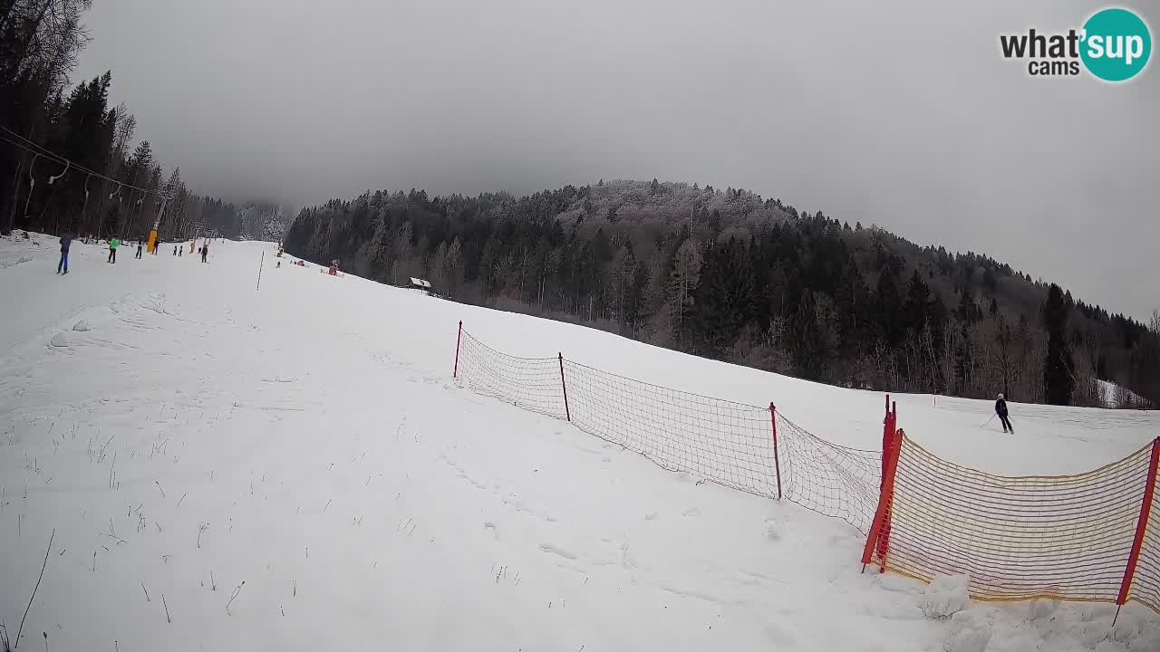 Ski Kranjska Gora | Brsnina