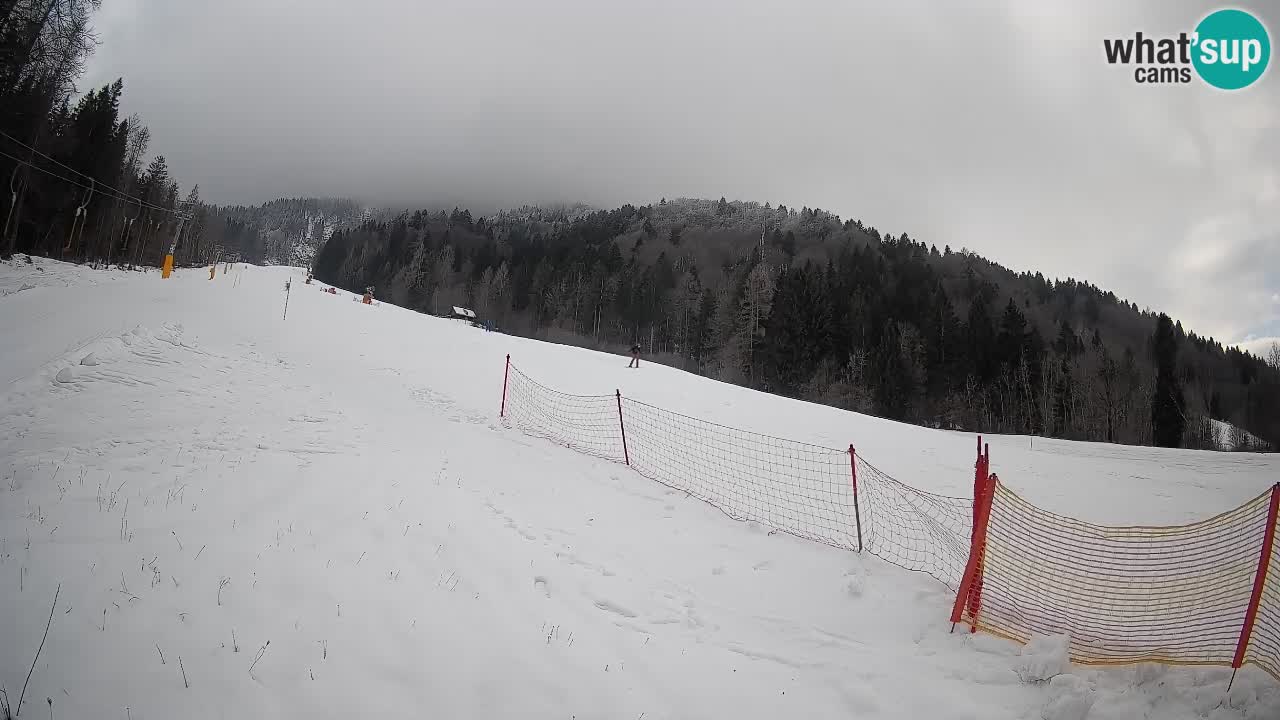 Kranjska Gora Station de ski | Brsnina