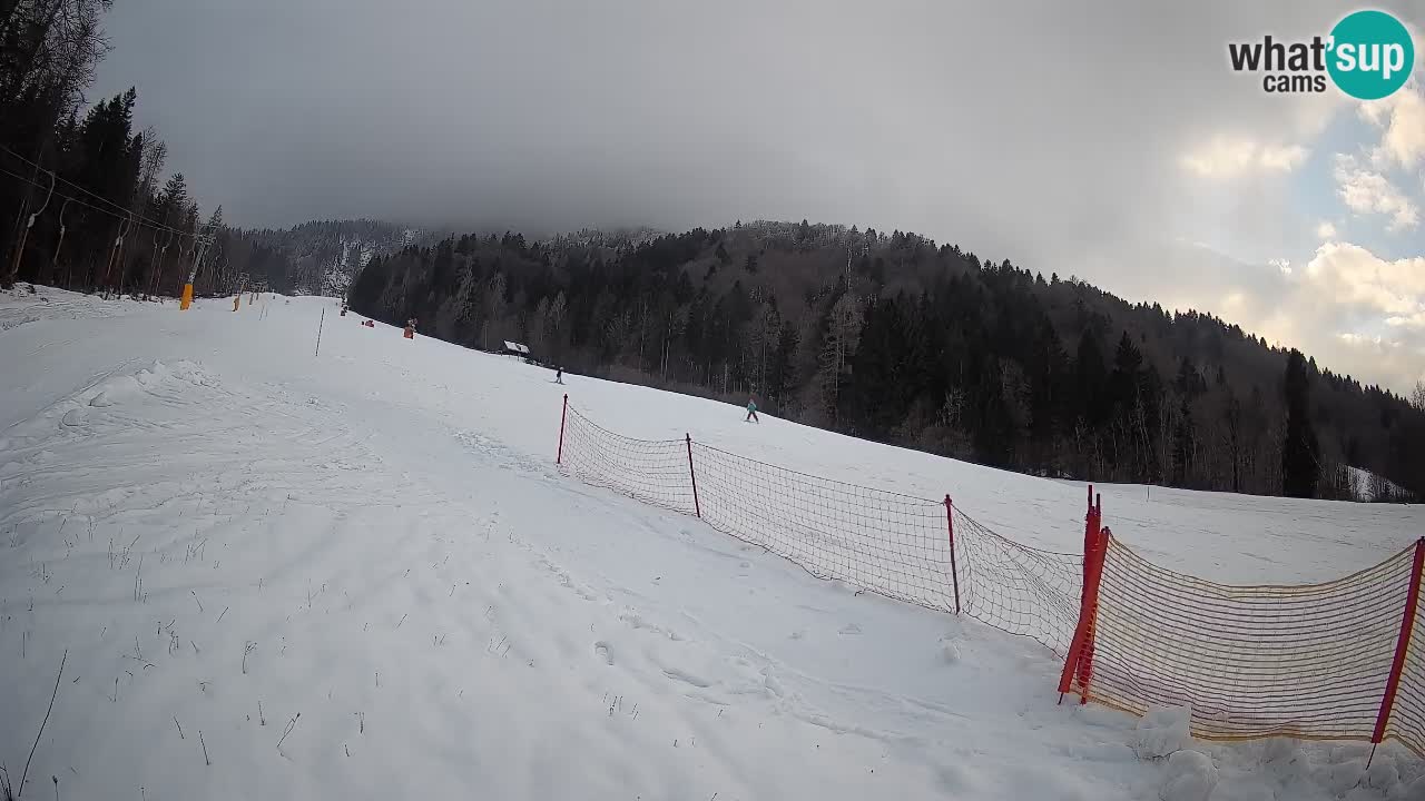 Esquí Kranjska Gora | Brsnina