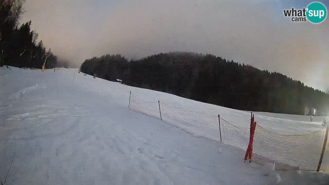 Kranjska Gora Station de ski | Brsnina