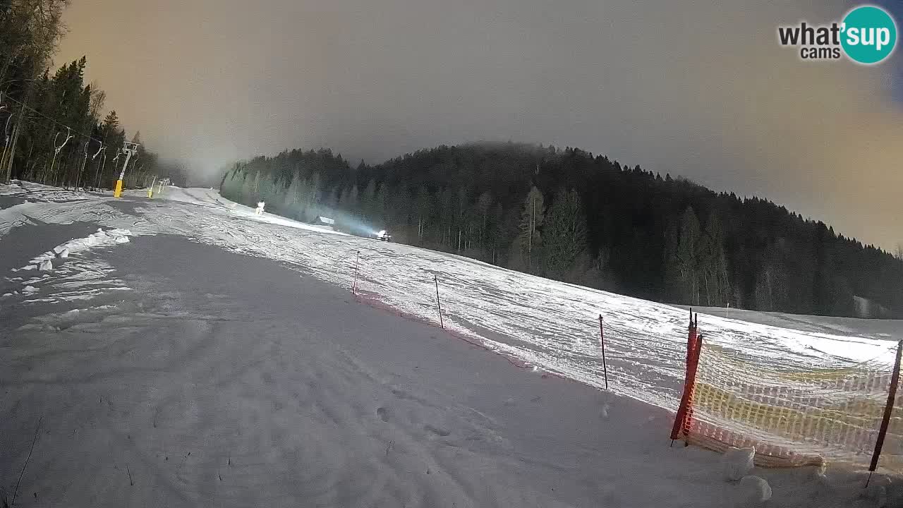 Ski Kranjska Gora | Brsnina
