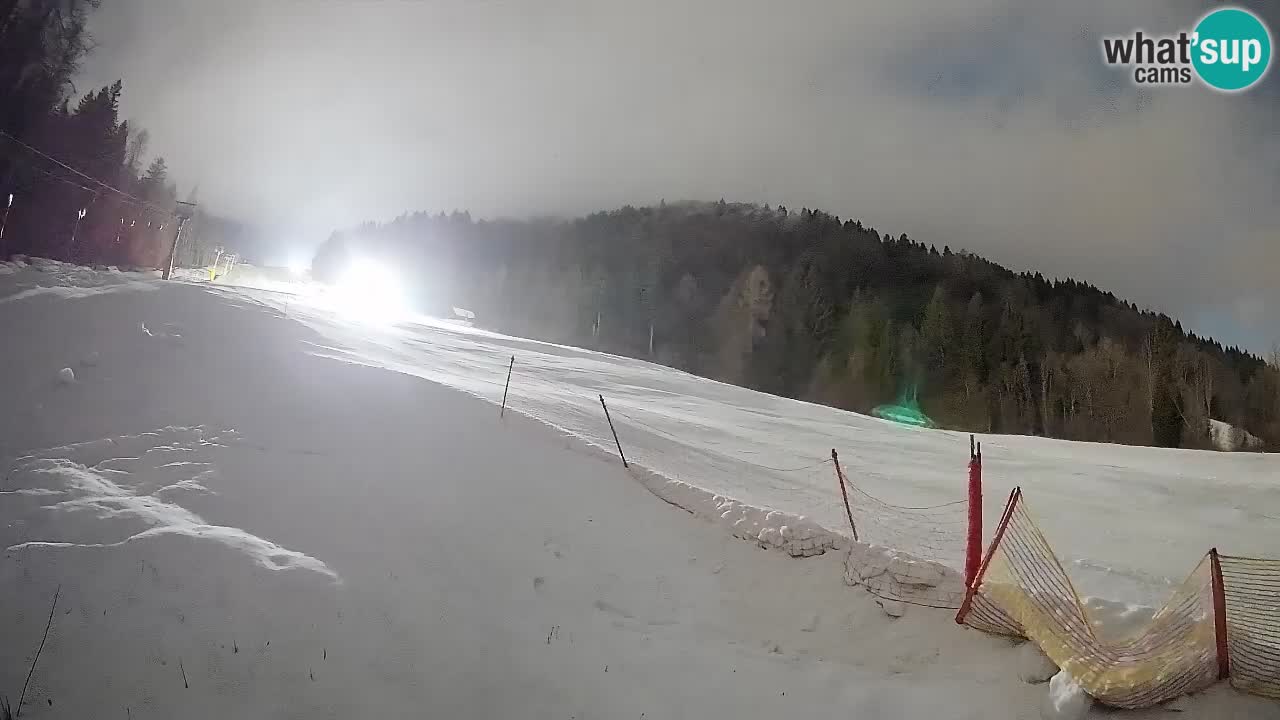 Kranjska Gora Station de ski | Brsnina