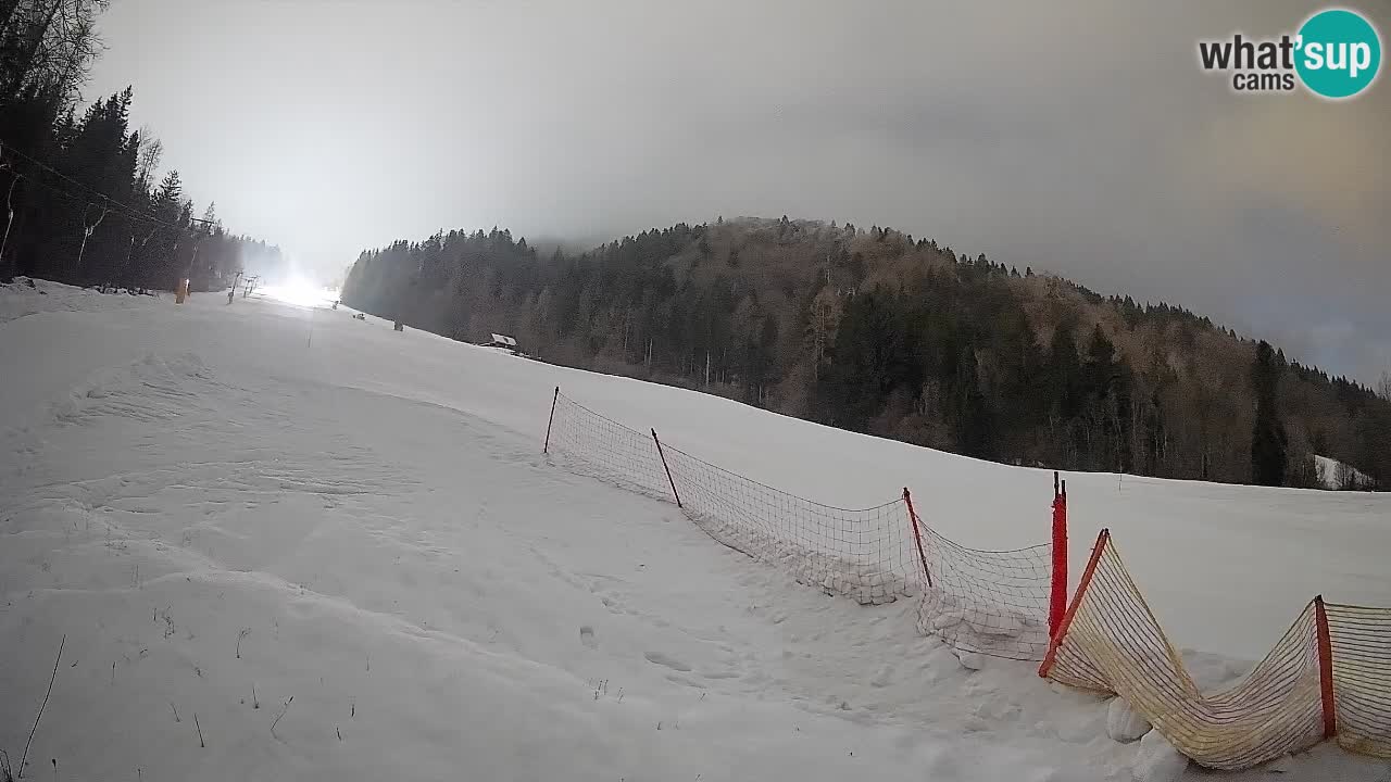 Ski Kranjska Gora | Brsnina