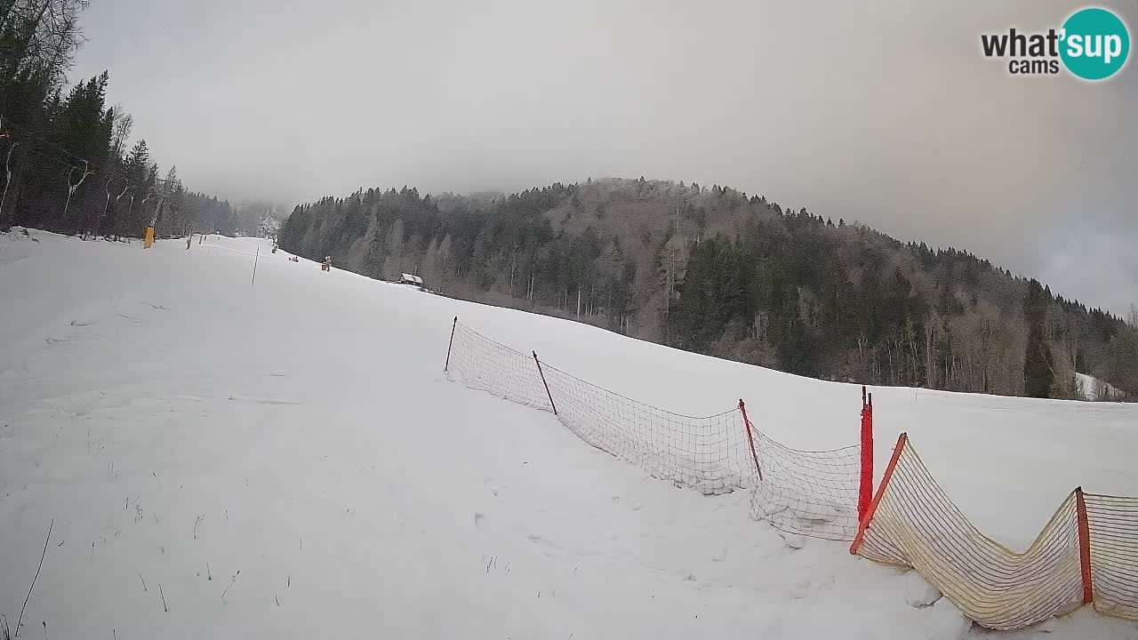 Ski Kranjska Gora | Brsnina