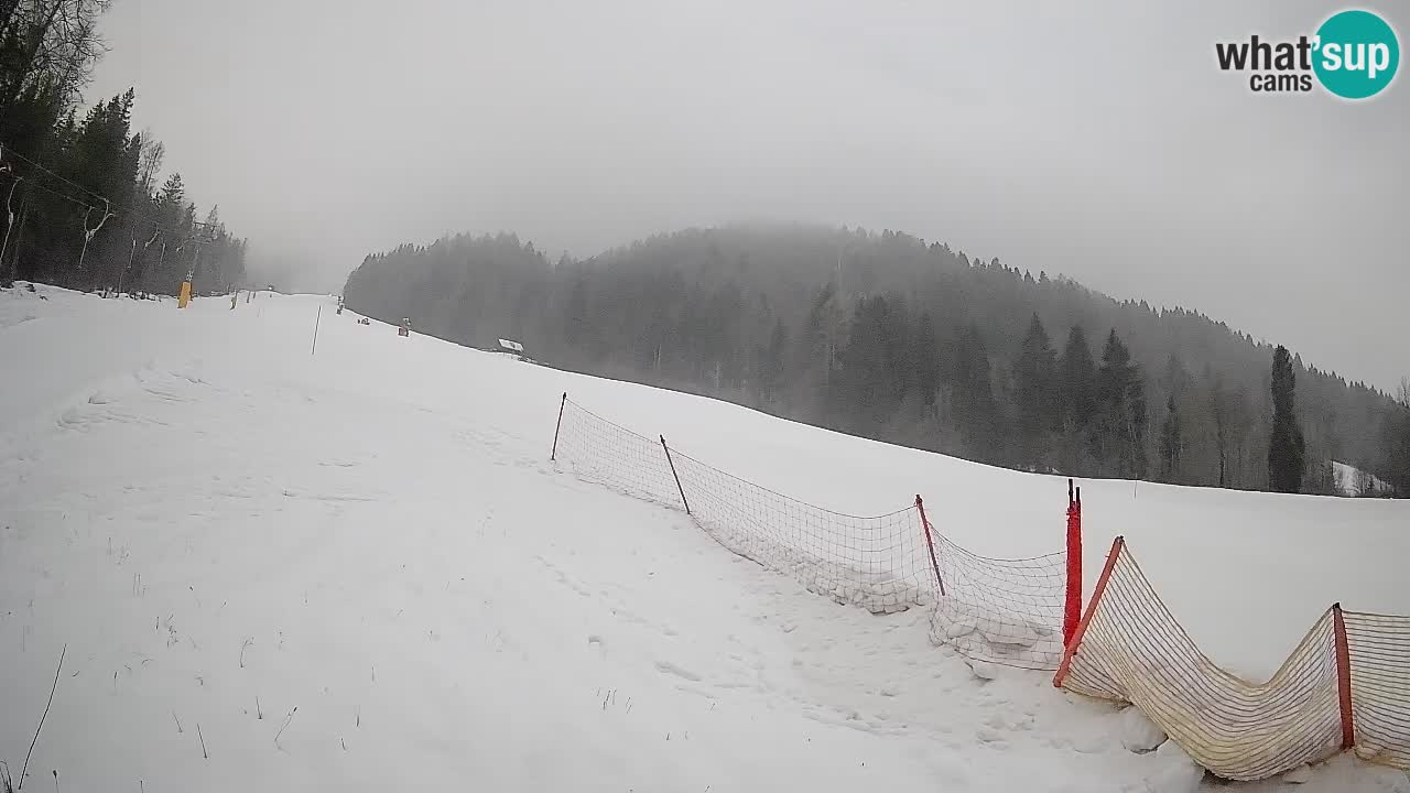 Esquí Kranjska Gora | Brsnina