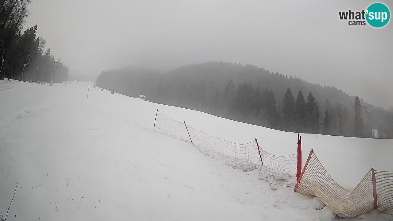 Comprensorio sciistico Kranjska Gora | Brsnina