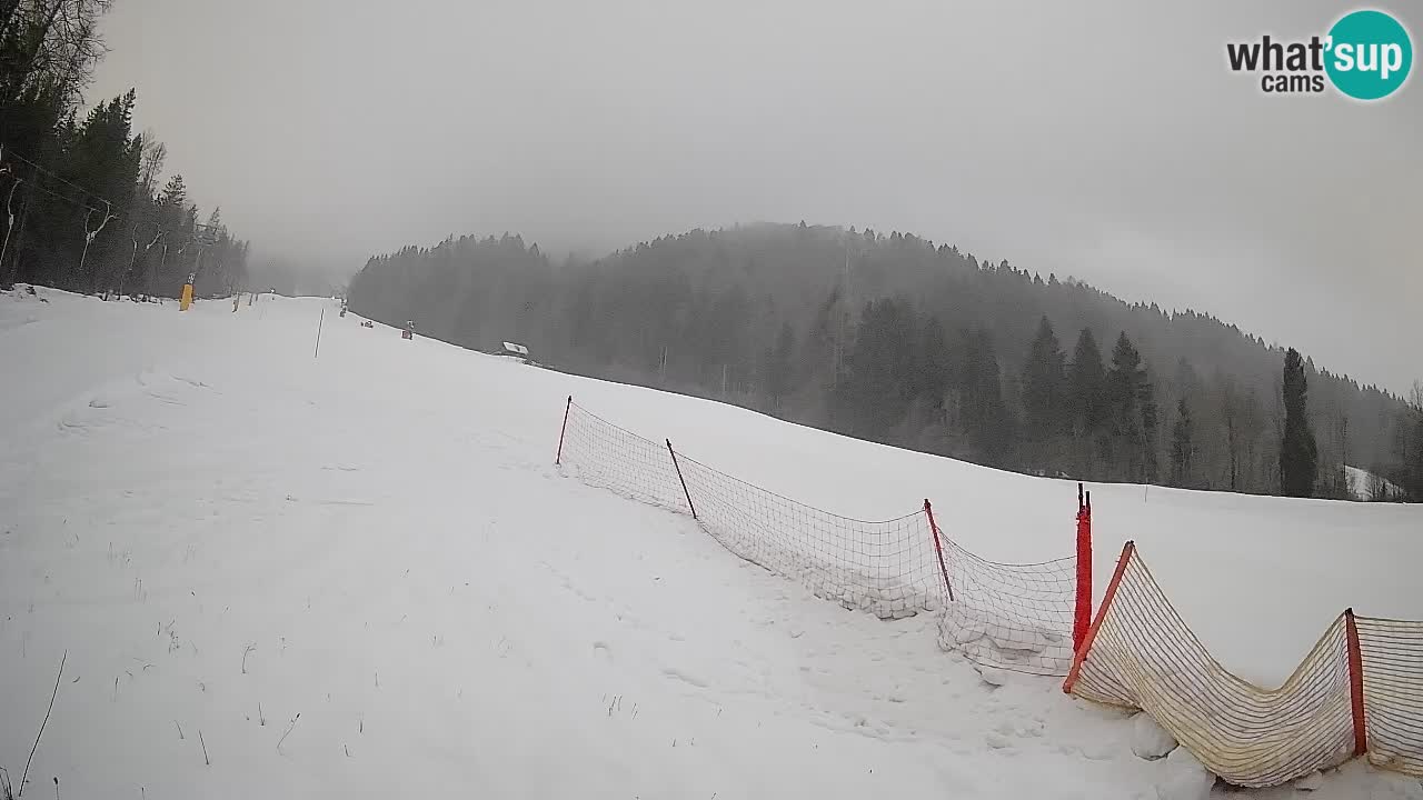 Kranjska Gora SKIJANJE | Brsnina