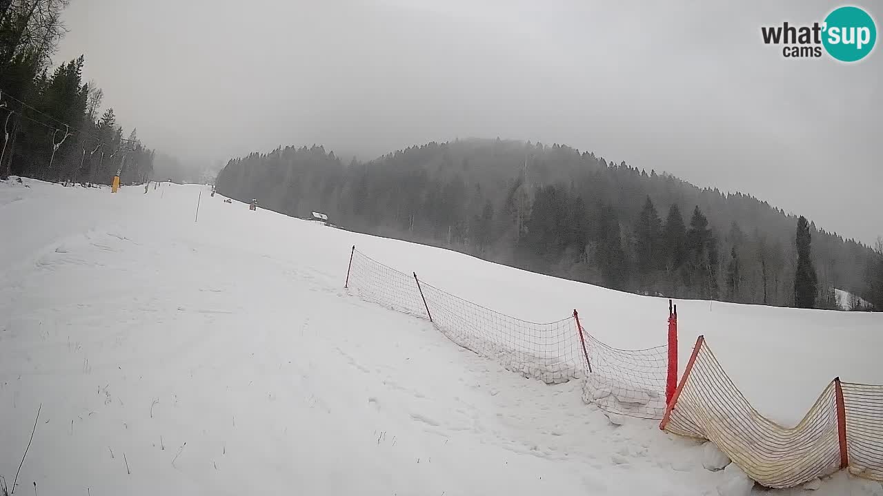 Kranjska Gora Station de ski | Brsnina