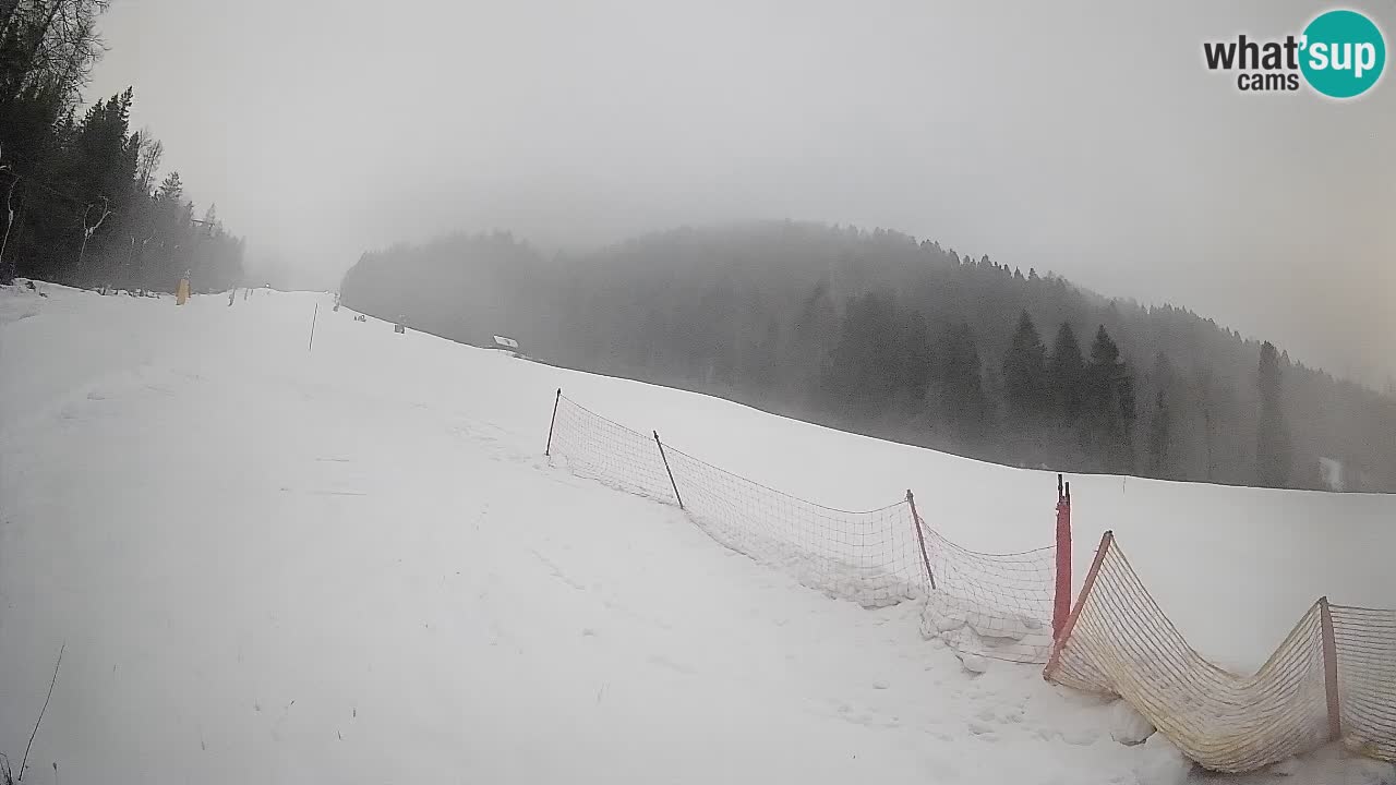 RTC Skigebiet Kranjska Gora | Brsnina
