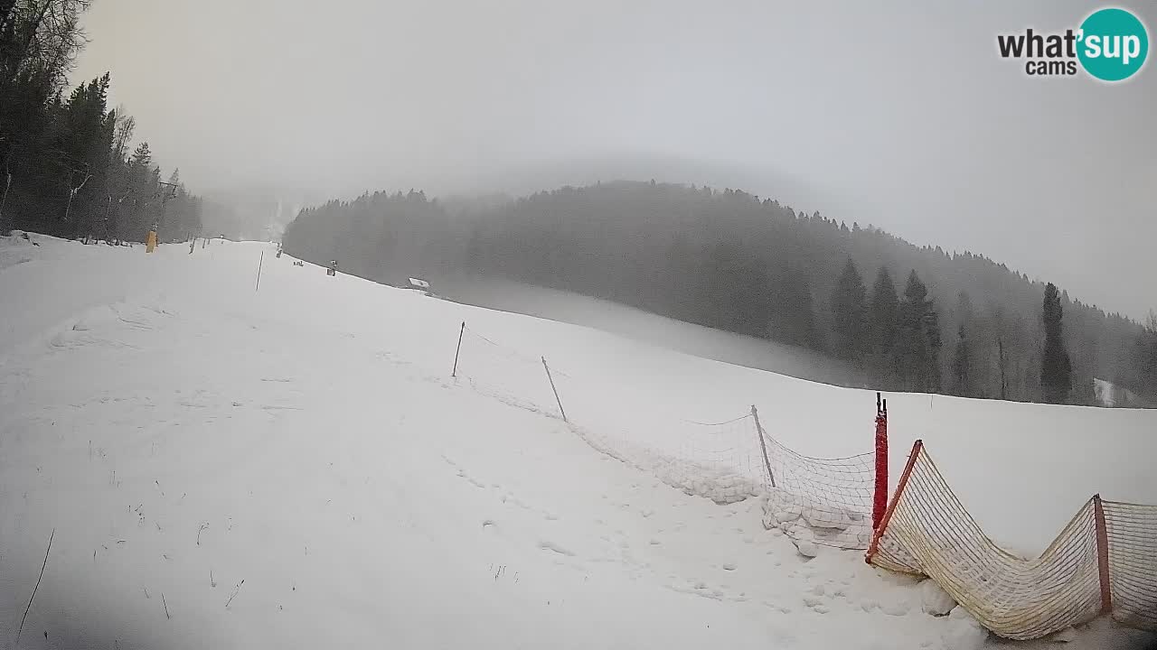 Comprensorio sciistico Kranjska Gora | Brsnina