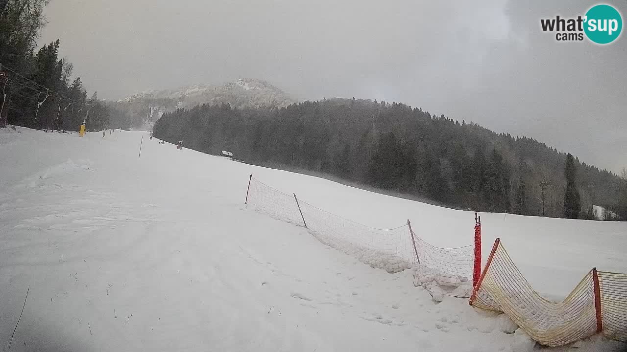 Ski Kranjska Gora | Brsnina