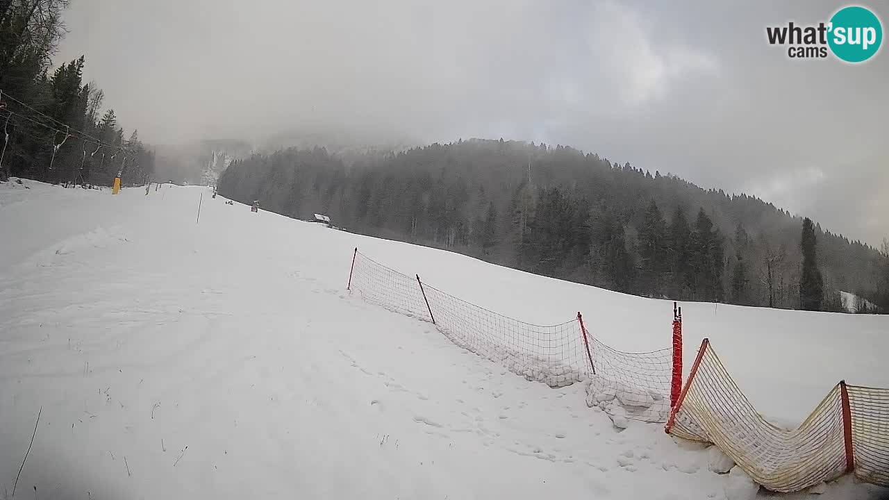 Ski Kranjska Gora | Brsnina