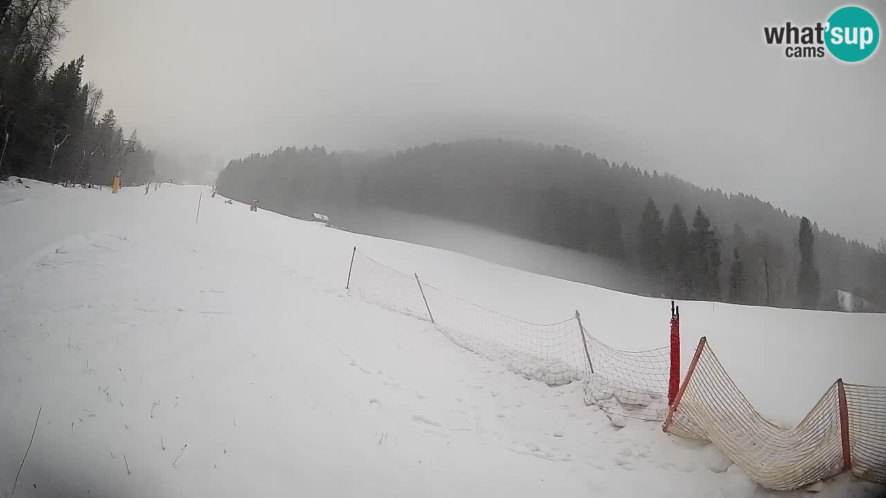 RTC Skigebiet Kranjska Gora | Brsnina
