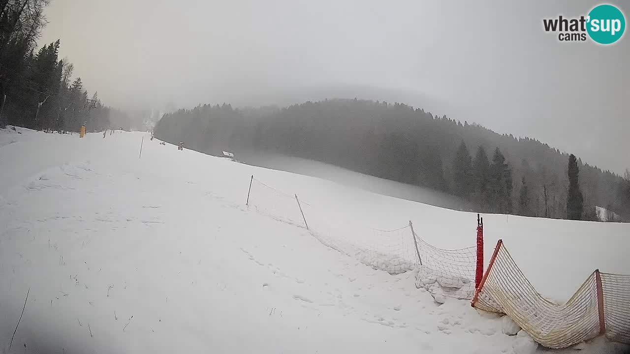 Ski Kranjska Gora | Brsnina