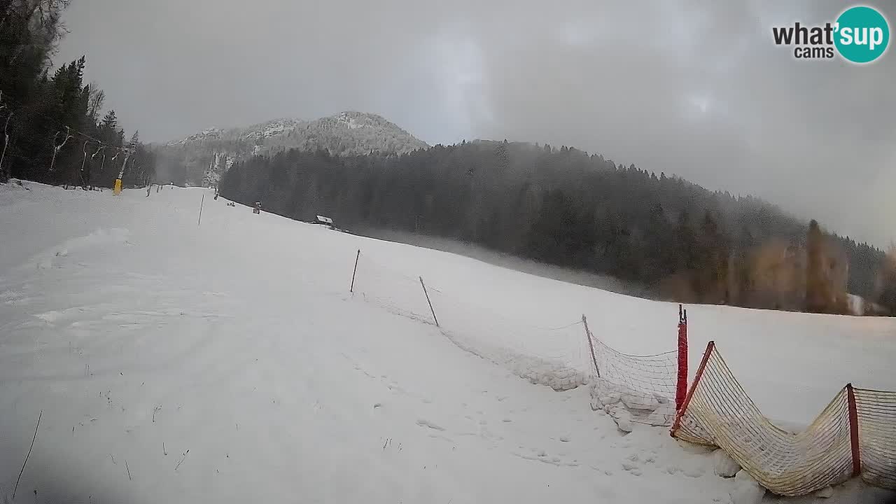 Kranjska Gora SKIJANJE | Brsnina