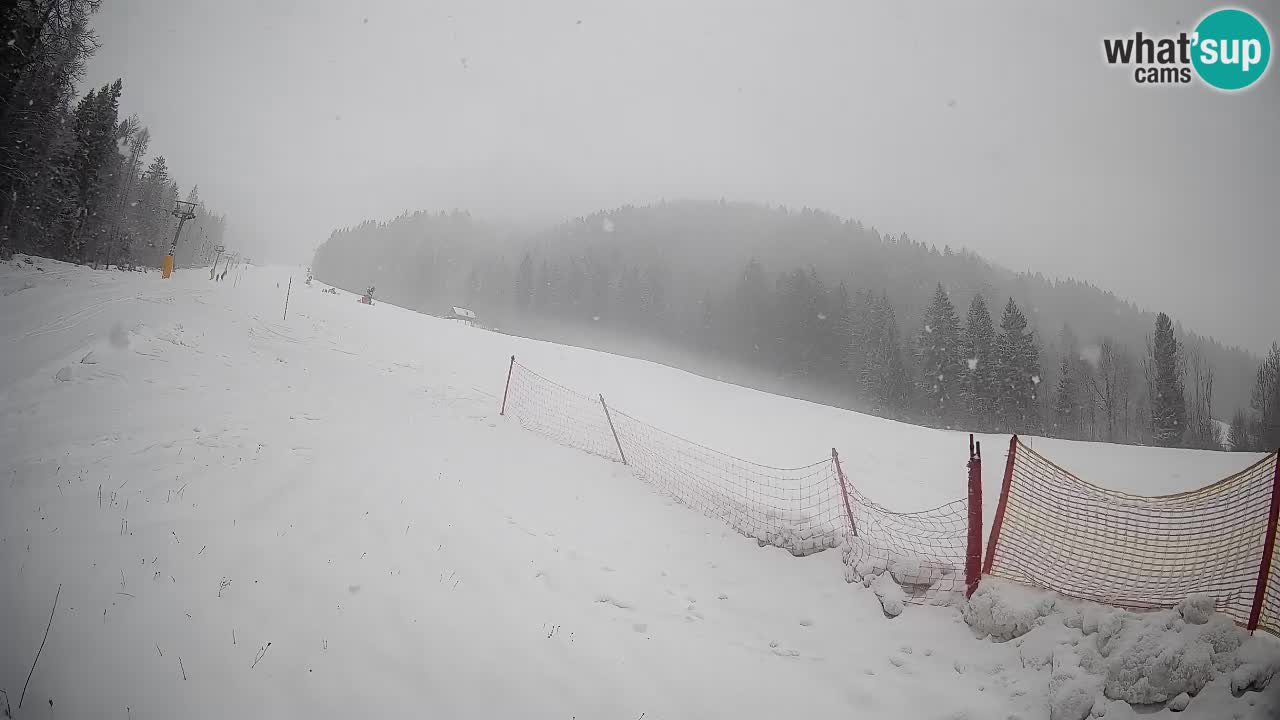 Esquí Kranjska Gora | Brsnina