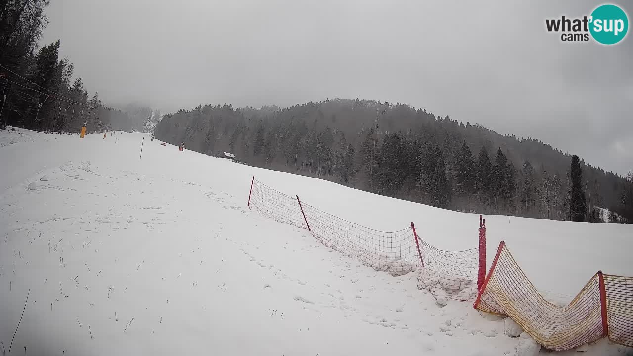 Ski Kranjska Gora | Brsnina