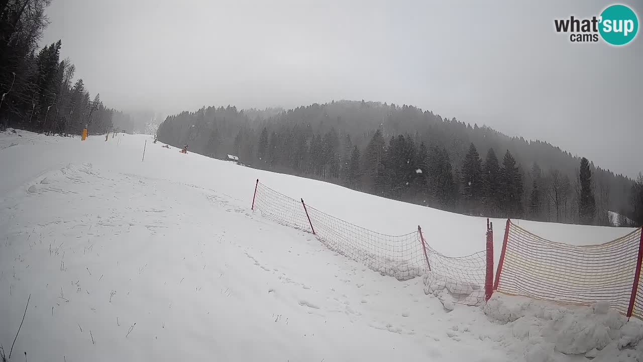 Comprensorio sciistico Kranjska Gora | Brsnina