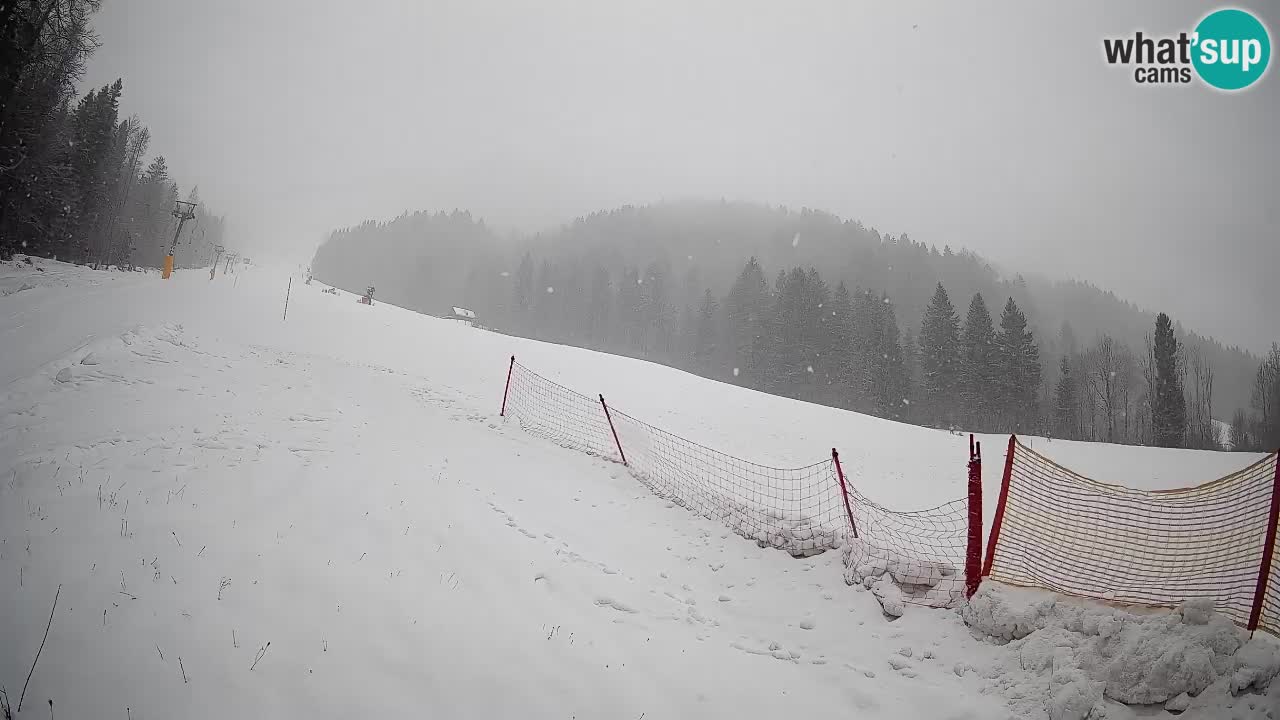 Kranjska Gora SKIJANJE | Brsnina