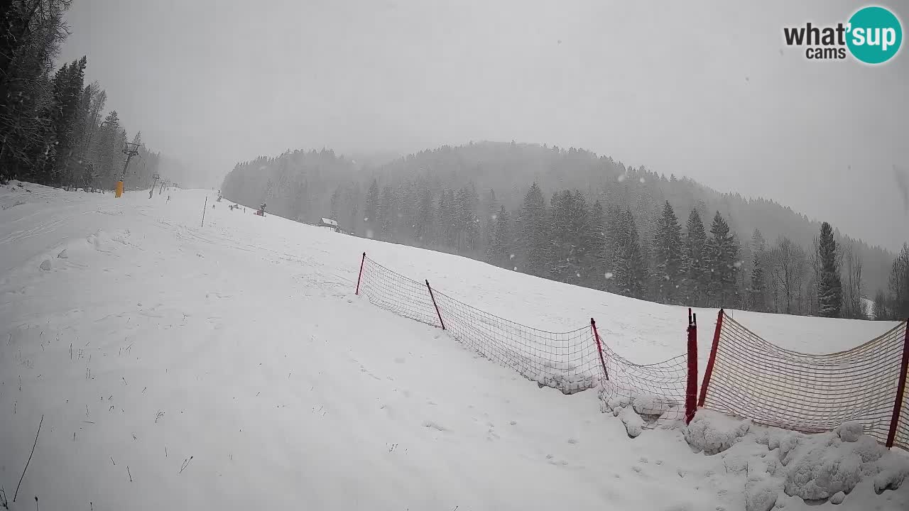 RTC Kranjska Gora | Brsnina