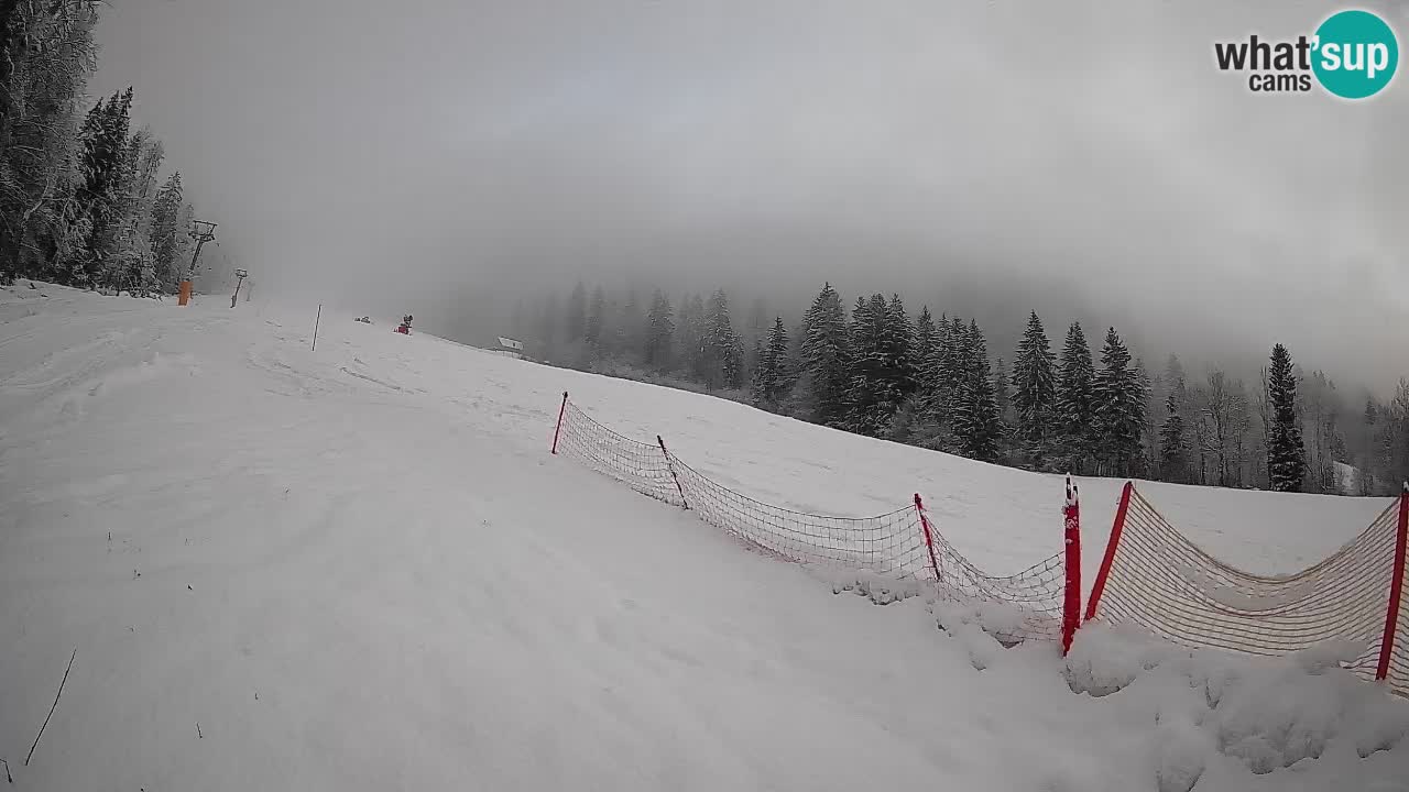 Ski Kranjska Gora | Brsnina