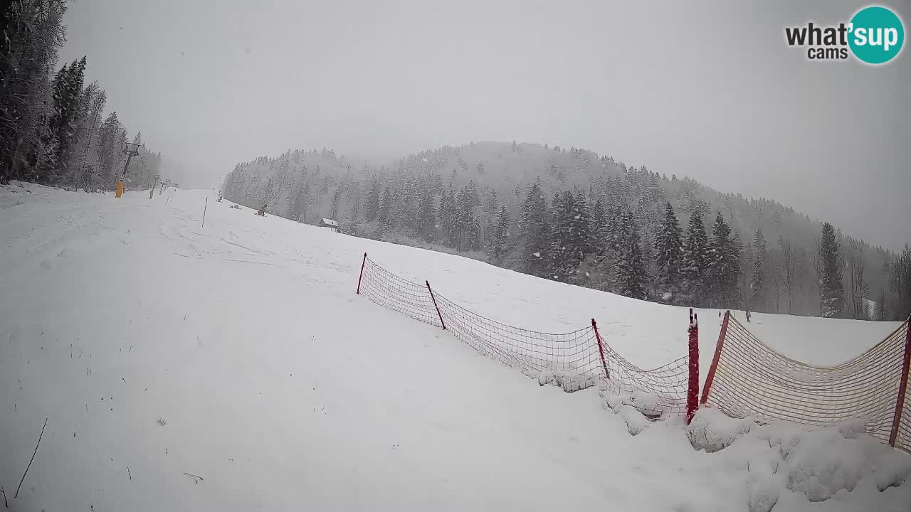 RTC Skigebiet Kranjska Gora | Brsnina