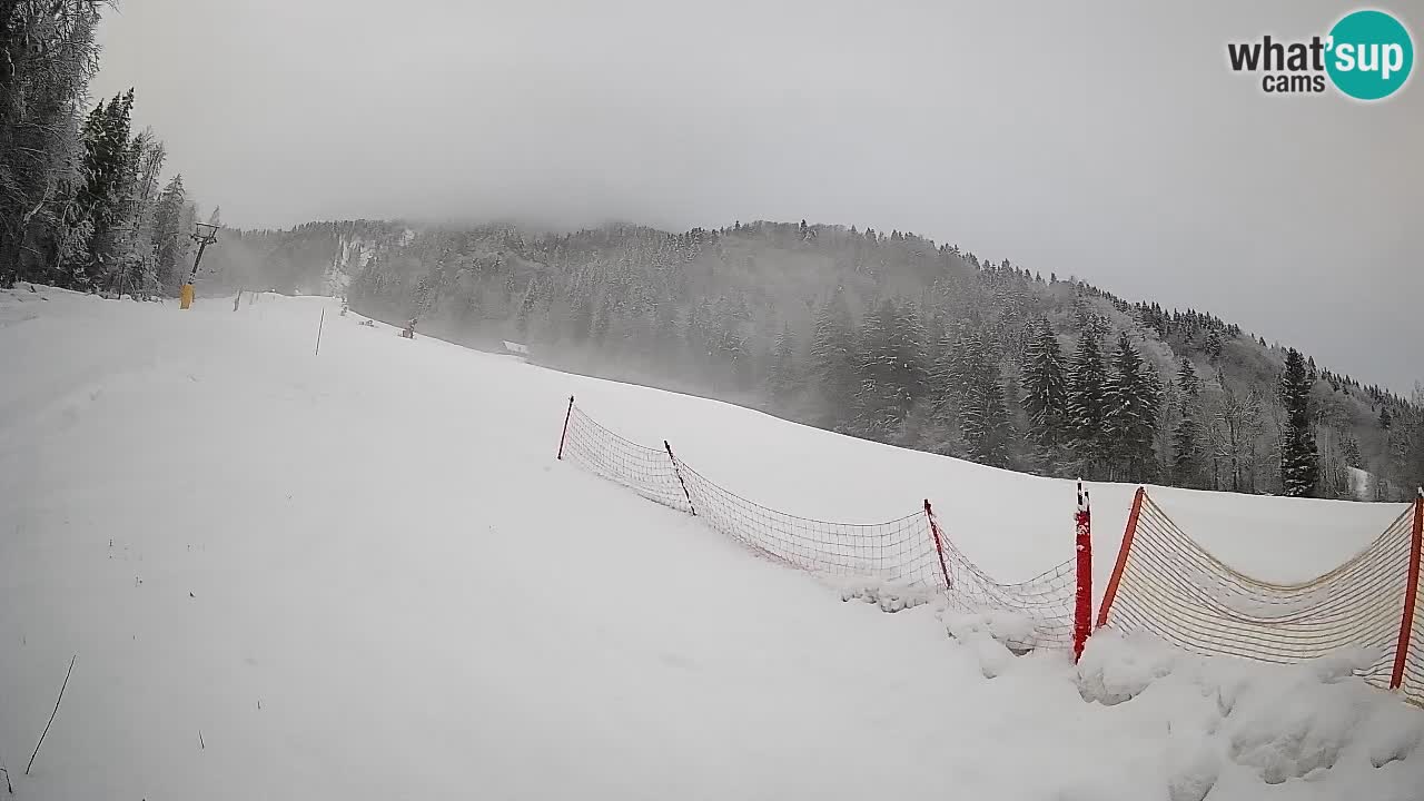 Ski Kranjska Gora | Brsnina