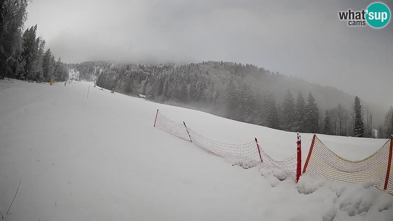 Esquí Kranjska Gora | Brsnina