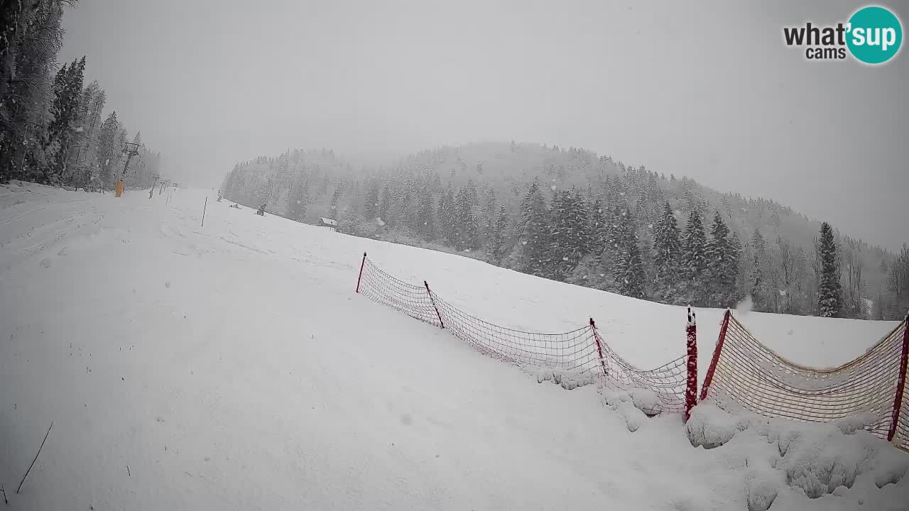 Kranjska Gora SKIJANJE | Brsnina
