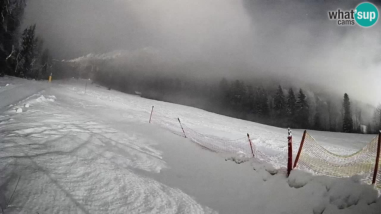 Ski Kranjska Gora | Brsnina