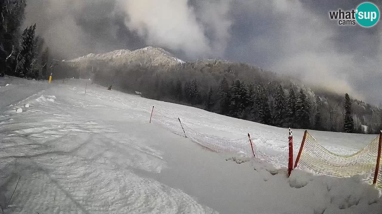 Comprensorio sciistico Kranjska Gora | Brsnina