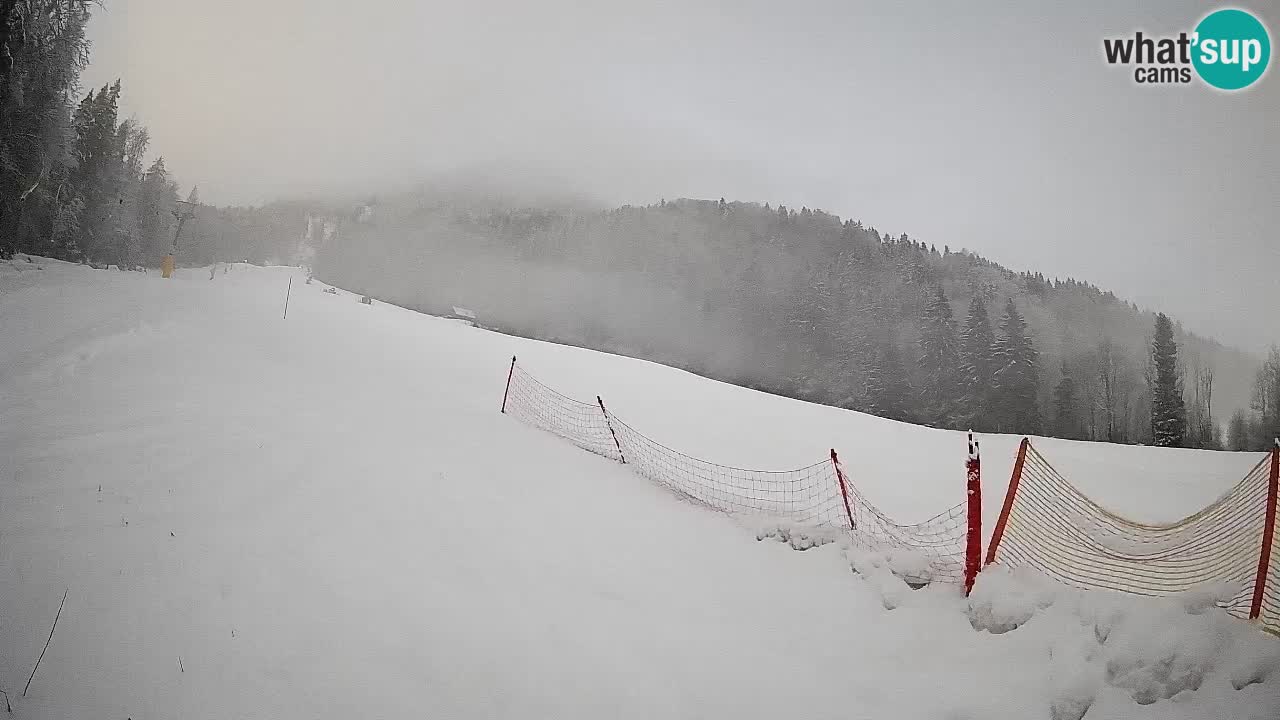 RTC Skigebiet Kranjska Gora | Brsnina