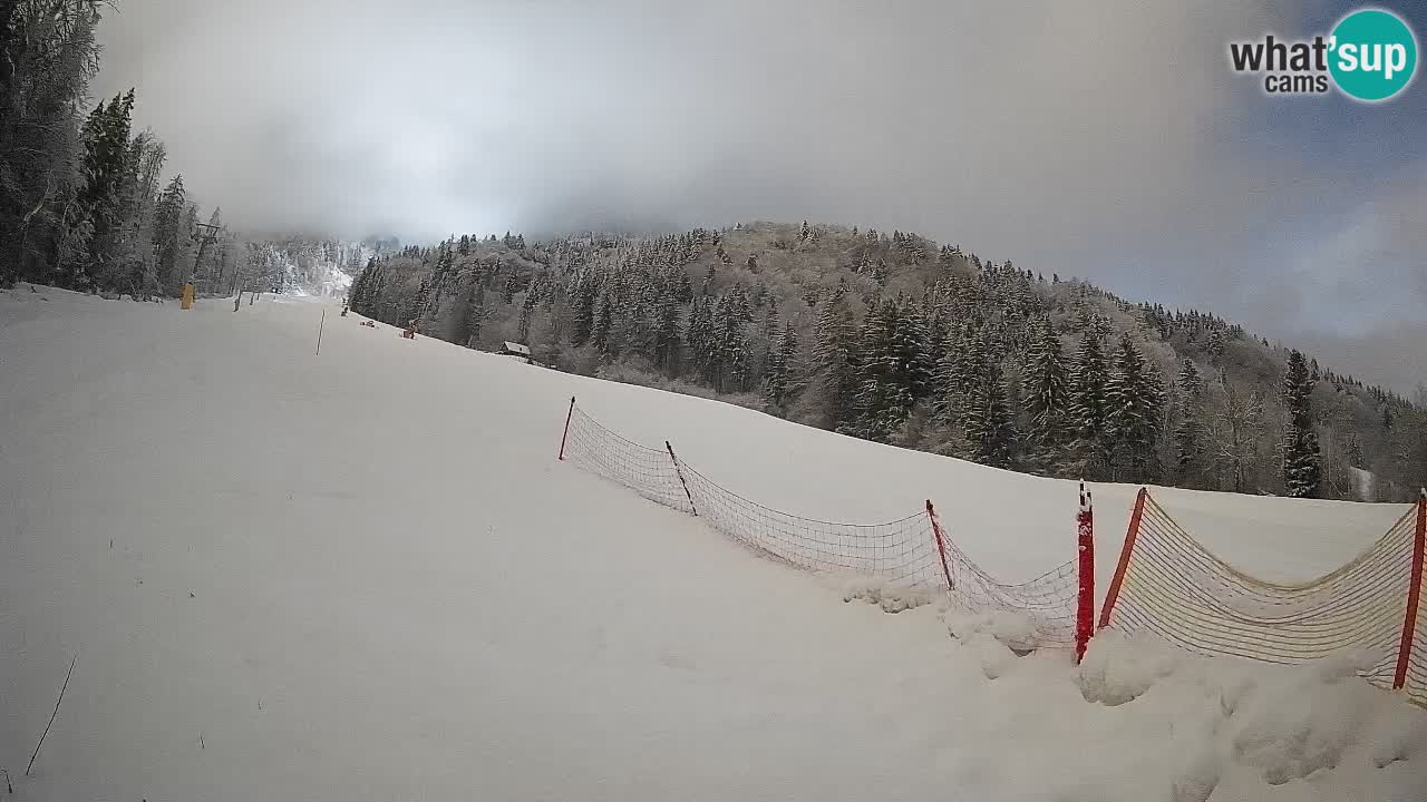 Comprensorio sciistico Kranjska Gora | Brsnina