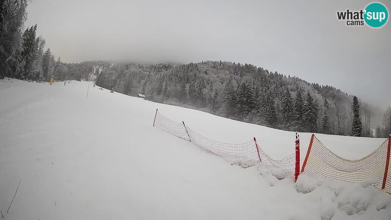 Comprensorio sciistico Kranjska Gora | Brsnina