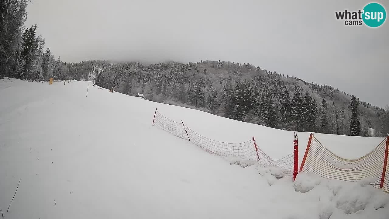 Kranjska Gora SKIJANJE | Brsnina