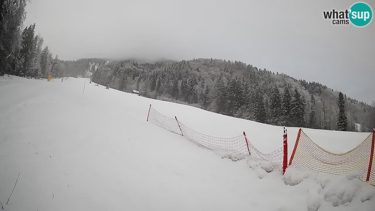 Esquí Kranjska Gora | Brsnina
