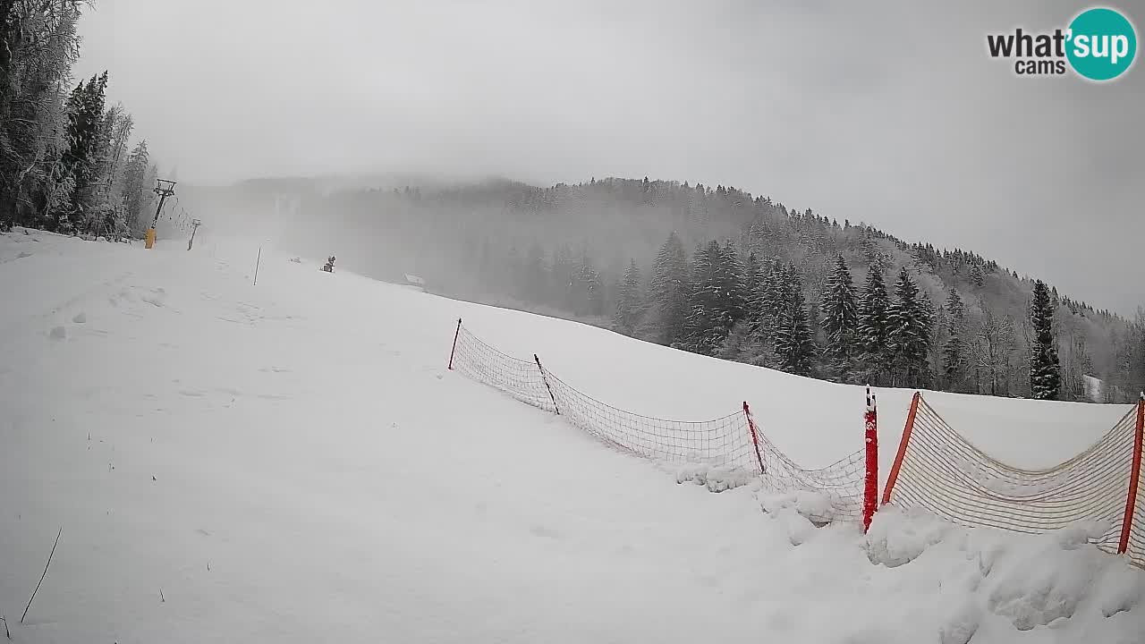 Ski Kranjska Gora | Brsnina