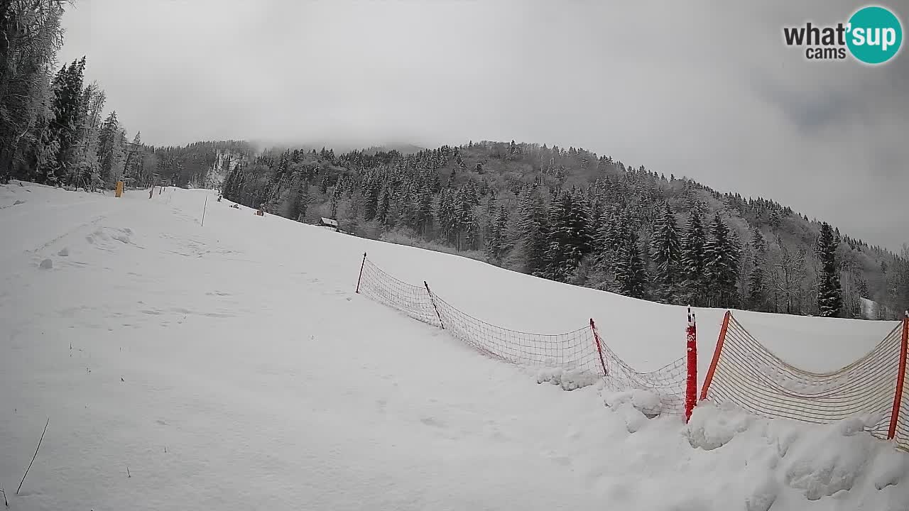 Ski Kranjska Gora | Brsnina