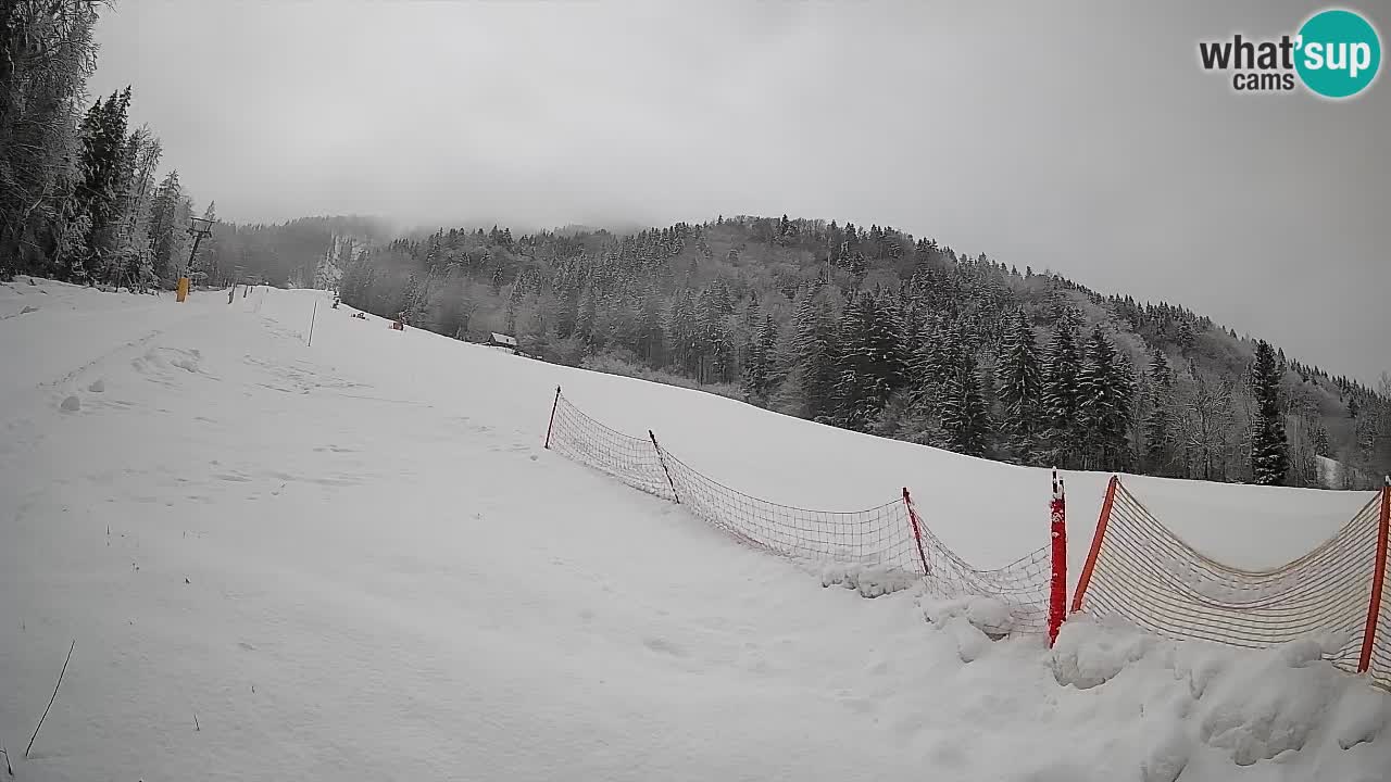Ski Kranjska Gora | Brsnina