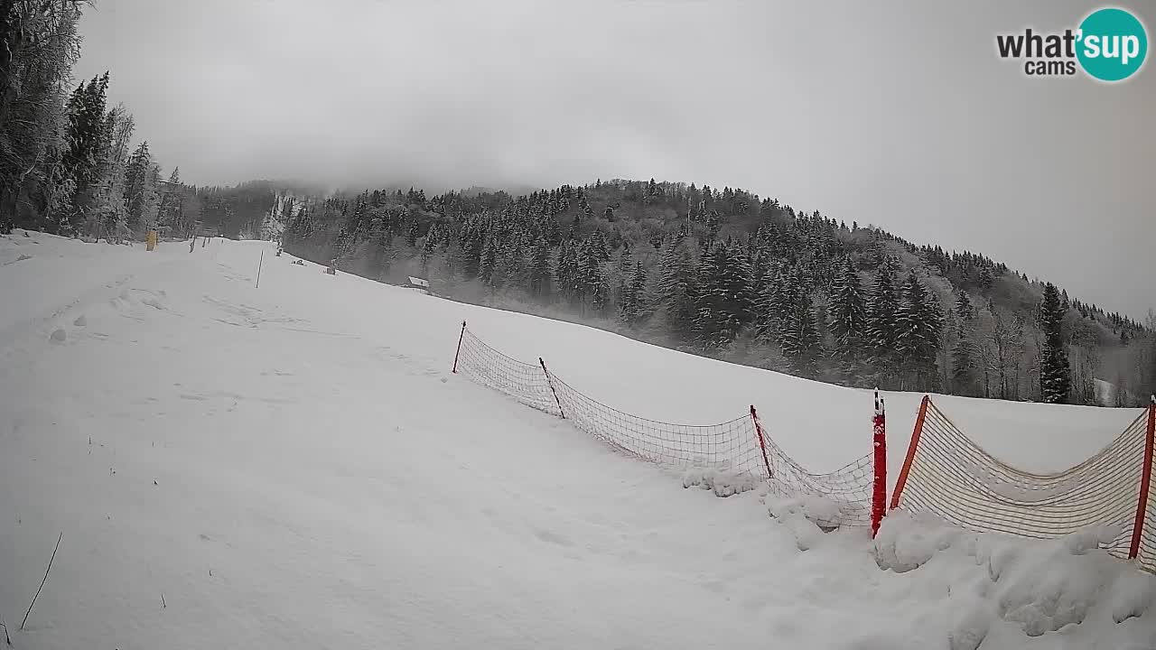 Ski Kranjska Gora | Brsnina