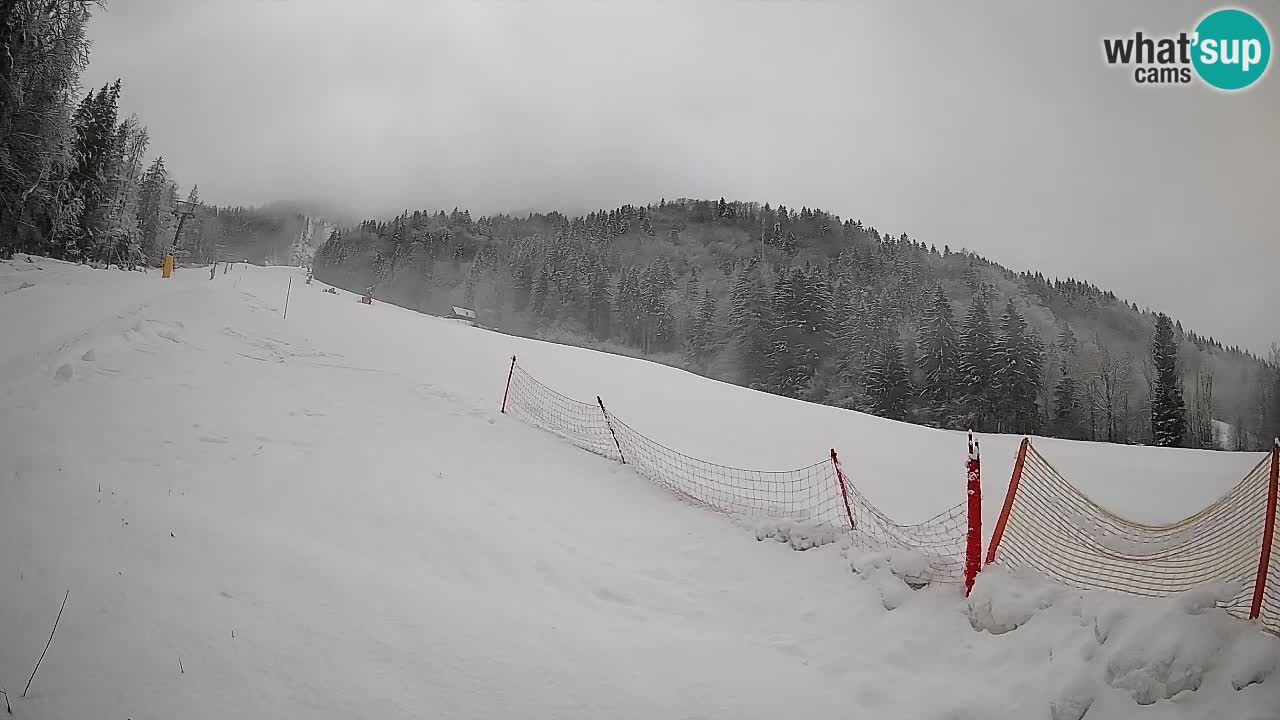 Kranjska Gora SKIJANJE | Brsnina