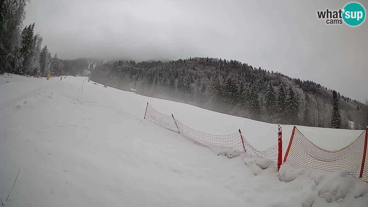 RTC Kranjska Gora | Brsnina