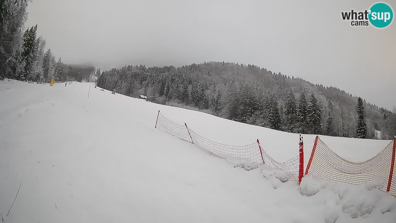 Esquí Kranjska Gora | Brsnina