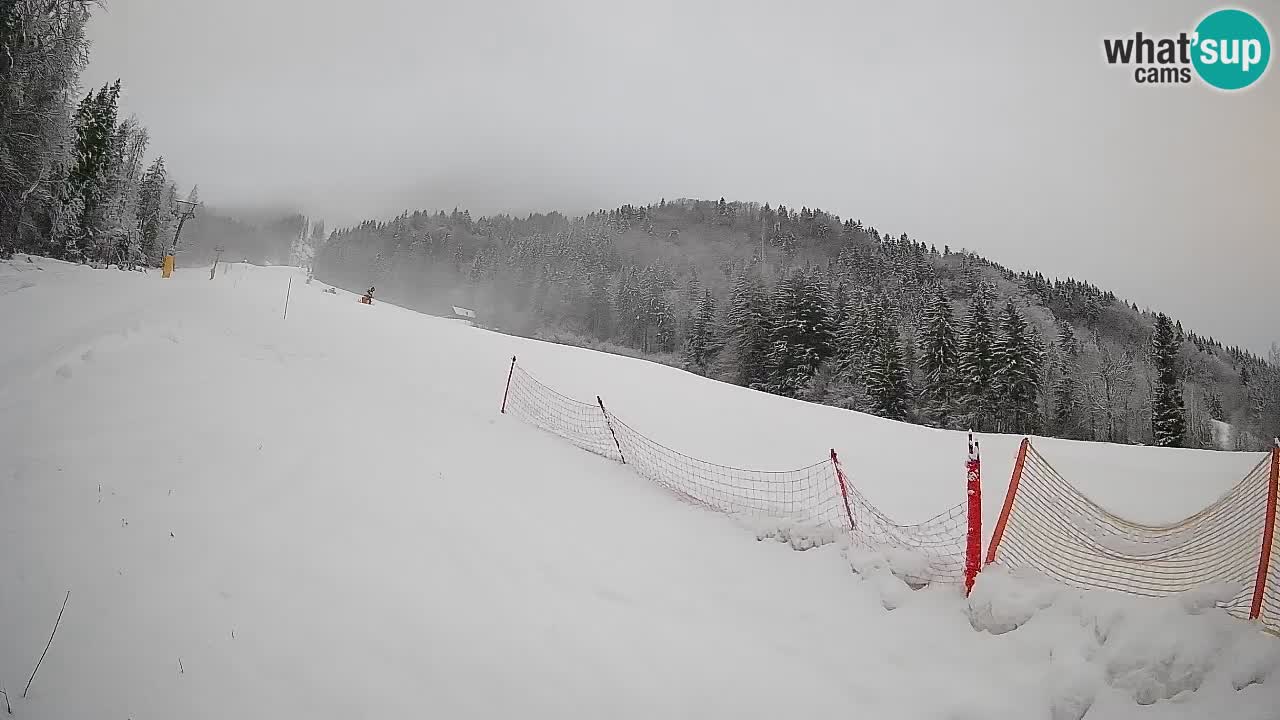 Kranjska Gora SKIJANJE | Brsnina