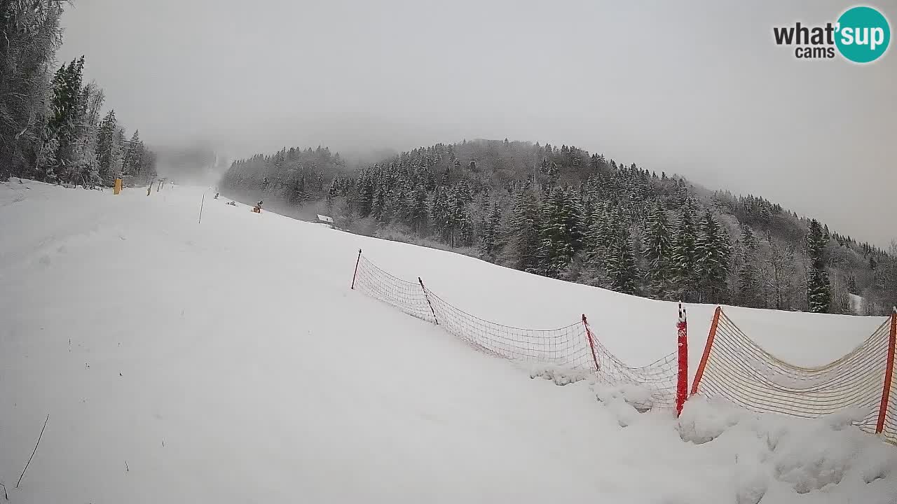 RTC Skigebiet Kranjska Gora | Brsnina