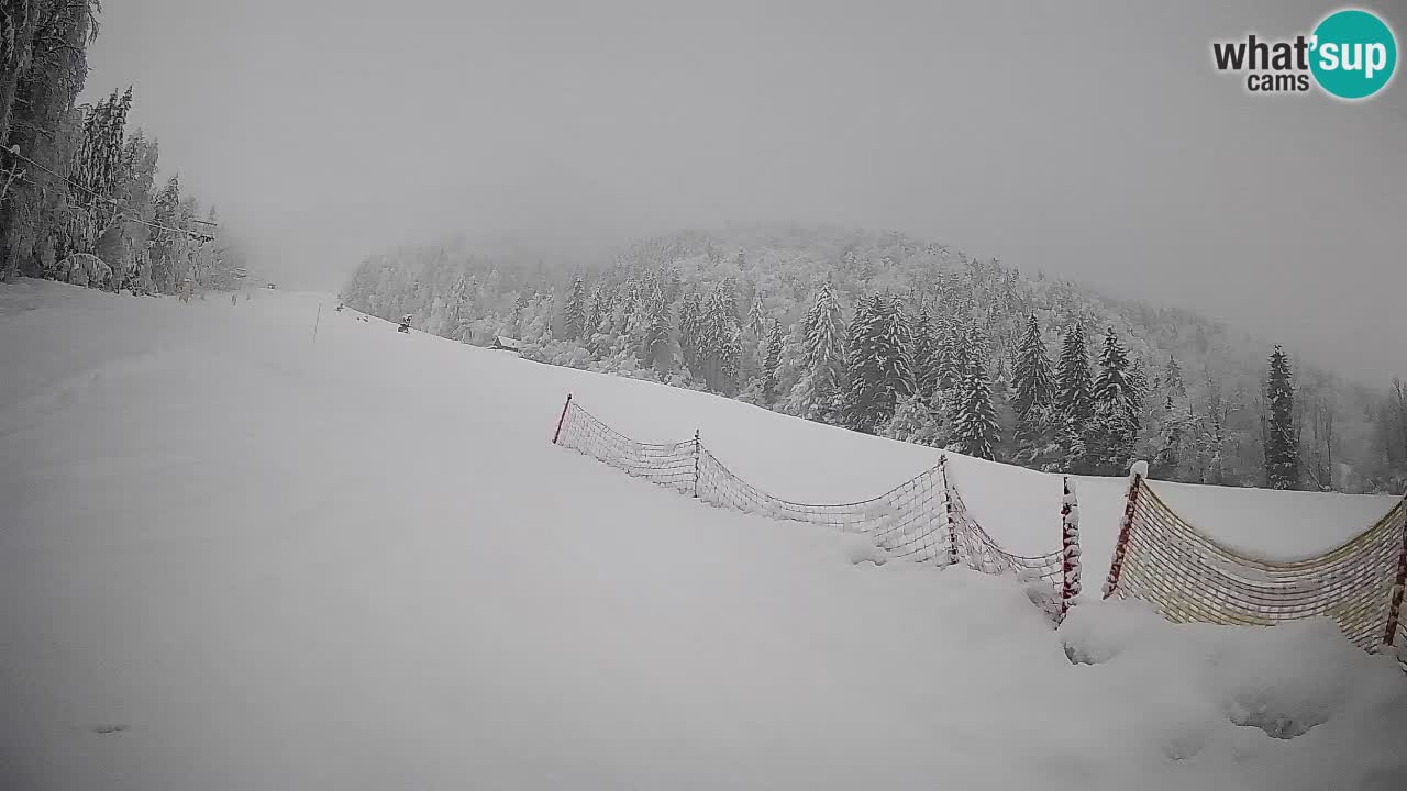 Kranjska Gora SKIJANJE | Brsnina