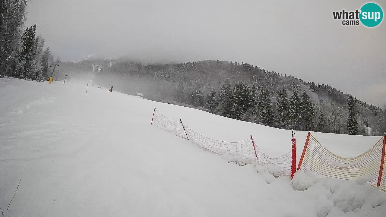RTC Skigebiet Kranjska Gora | Brsnina